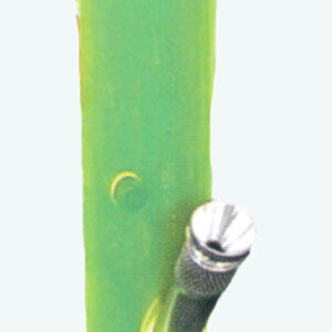 T4-T6